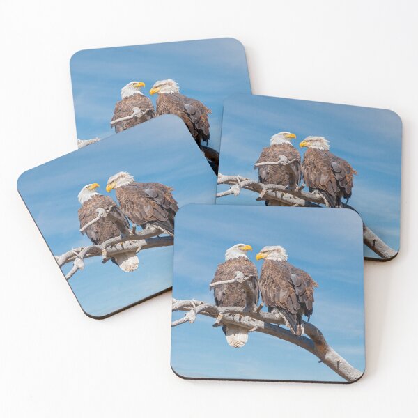 Item preview, Bald Eagle Pair Perched in a Dead Tree designed and sold by Jeff Goulden Photography.