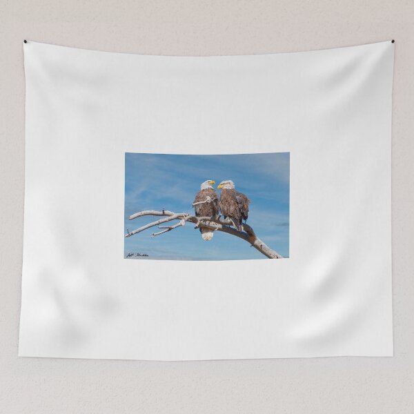 Item preview, Bald Eagle Pair Perched in a Dead Tree designed and sold by Jeff Goulden Photography.