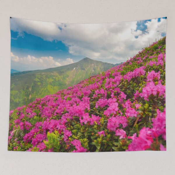 Item preview, Mountain flowers, canvas print, wall art, Panoramic,widescreen prints,canvaswall art, Nature scene designed and sold by eyesight4vision.