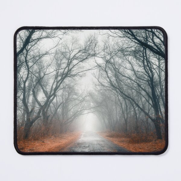 Item preview, Forest trail, panoramic,panoramic wall art, panoramic canvas prints widescreen prints, wall posters, Tapestries,Tapestry,throw blankets, Forest art,Tree art,forests, wall art,Nature scene,Forest  designed and sold by eyesight4vision.
