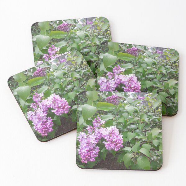 Item preview, Lilac bushes designed and sold by Phoebew03.