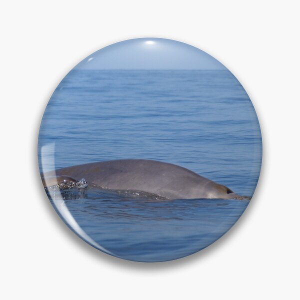 Item preview, Beaked whales designed and sold by Chloé Yzoard.