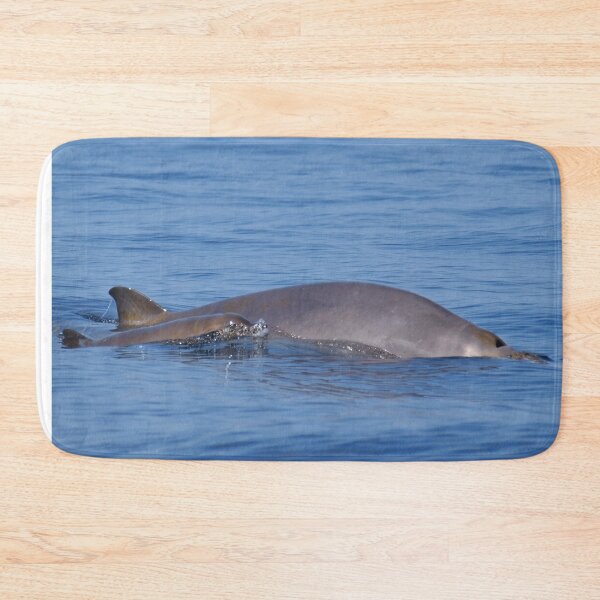Item preview, Beaked whales designed and sold by Chloé Yzoard.
