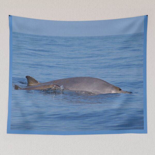 Item preview, Beaked whales designed and sold by Chloé Yzoard.