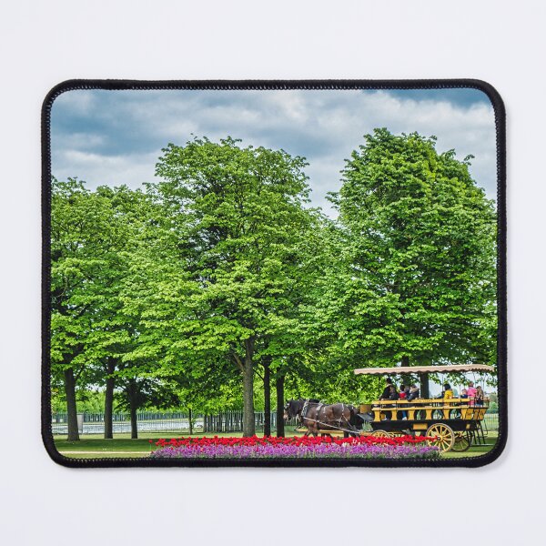 Item preview, Horse and Carriage Ride For All designed and sold by photograham.