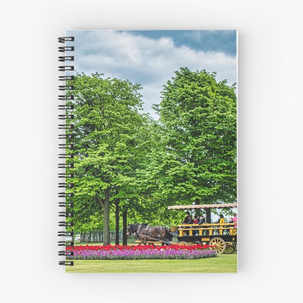 Item preview, Horse and Carriage Ride For All designed and sold by photograham.
