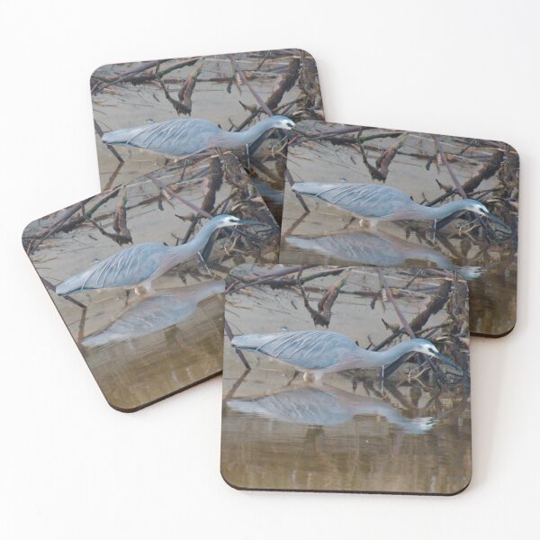 WADER ~ White-faced Heron by David Irwin DJI7Z6P99R5 Coasters (Set of 4)