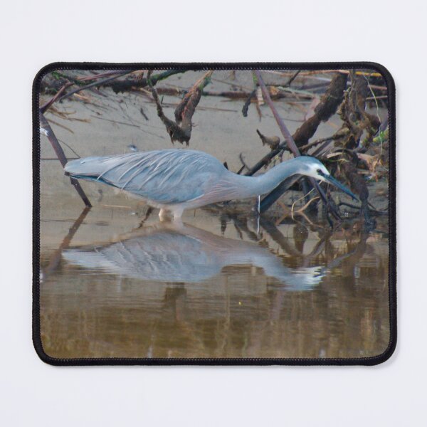 Item preview, WADER ~ White-faced Heron by David Irwin DJI7Z6P99R5 designed and sold by tasmanianartist.