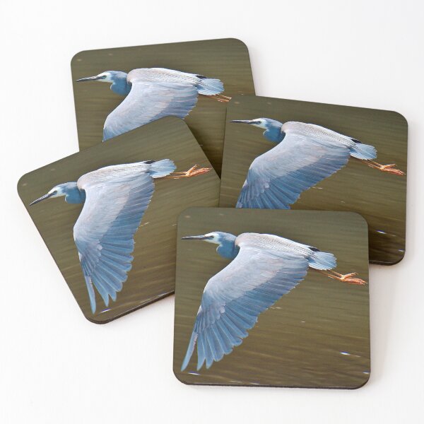 Item preview, WADER ~ White-faced Heron by David Irwin DJIWYLZC8XZ designed and sold by tasmanianartist.