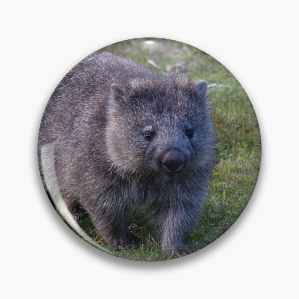 Item preview, Wombat designed and sold by andreisky.