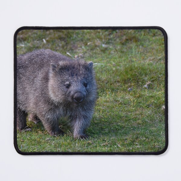 Item preview, Wombat designed and sold by andreisky.