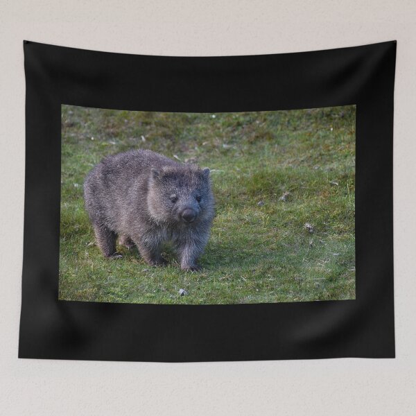 Item preview, Wombat designed and sold by andreisky.