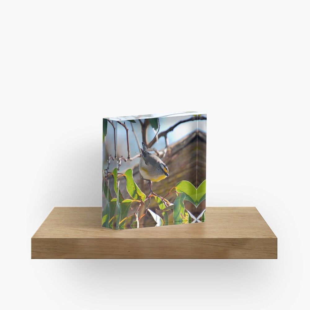 Item preview, Acrylic Block designed and sold by tasmanianartist.