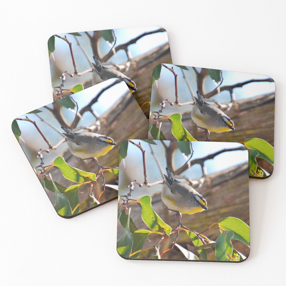 Item preview, Coasters (Set of 4) designed and sold by tasmanianartist.