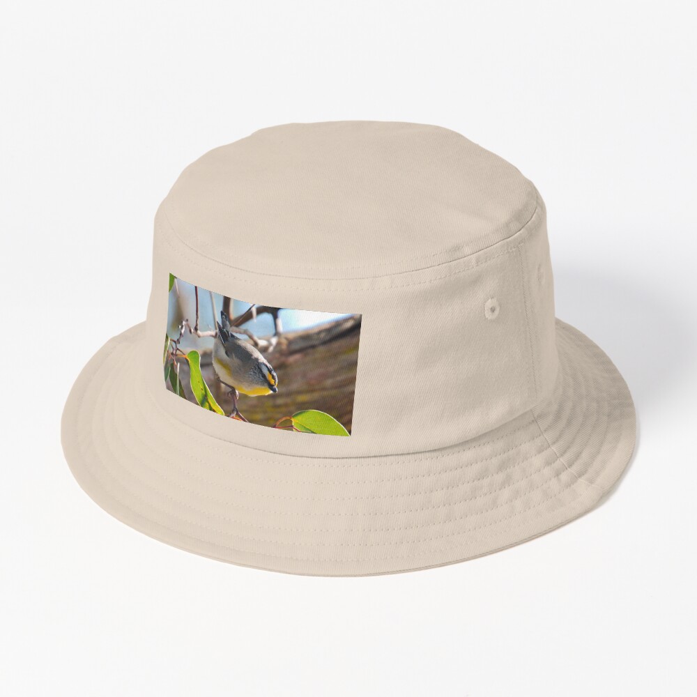 Item preview, Bucket Hat designed and sold by tasmanianartist.