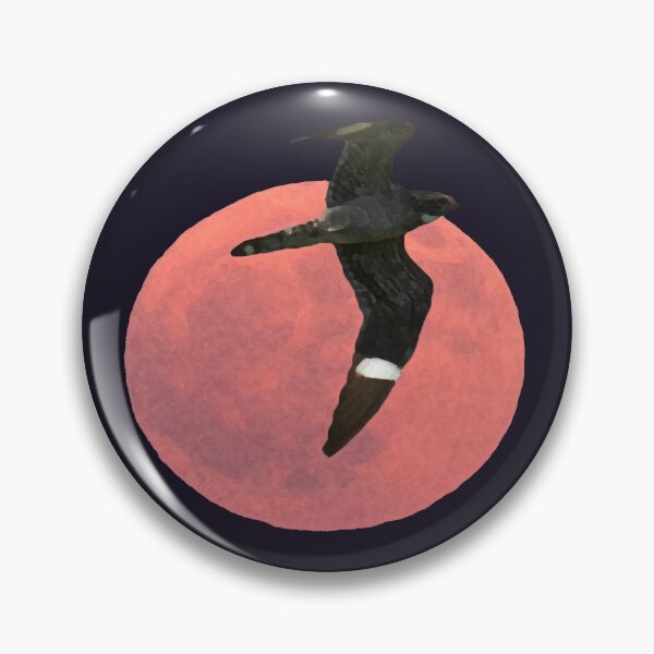 Item preview, Common Nighthawk designed and sold by Liam Wolff.