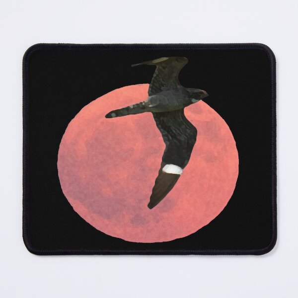 Item preview, Common Nighthawk designed and sold by Liam Wolff.
