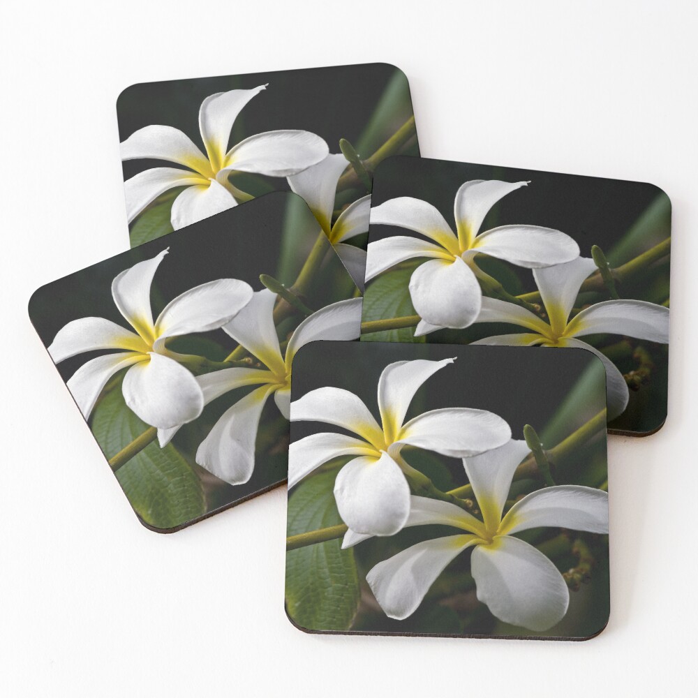 Item preview, Coasters (Set of 4) designed and sold by algill.