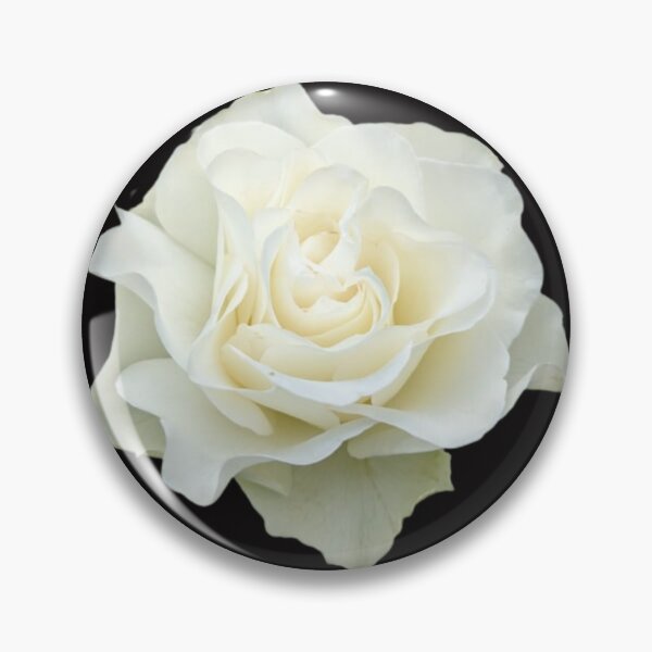Item preview, White Rose designed and sold by TinaDonovanArt.