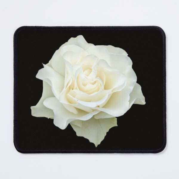 Item preview, White Rose designed and sold by TinaDonovanArt.