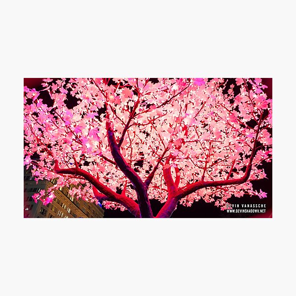 Pink Tree Photographic Print