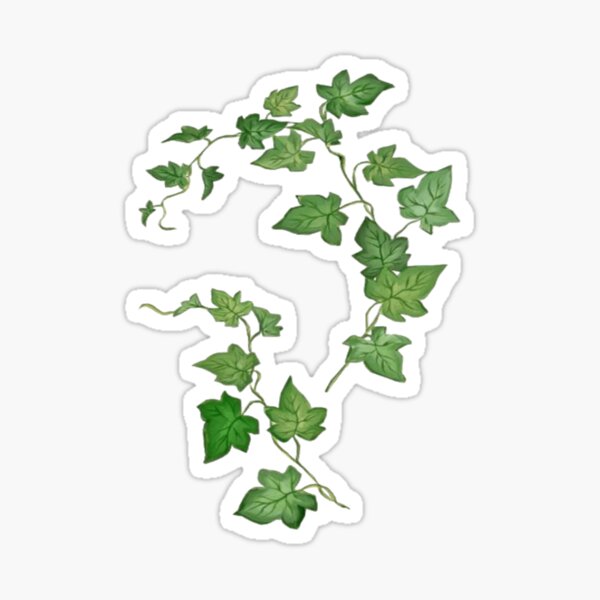 "Poison Ivy Sticker" Sticker for Sale by chloedorse Redbubble
