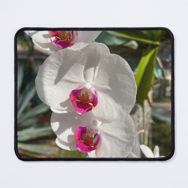 Item preview, White Orchids With Pink designed and sold by KarenZuk.