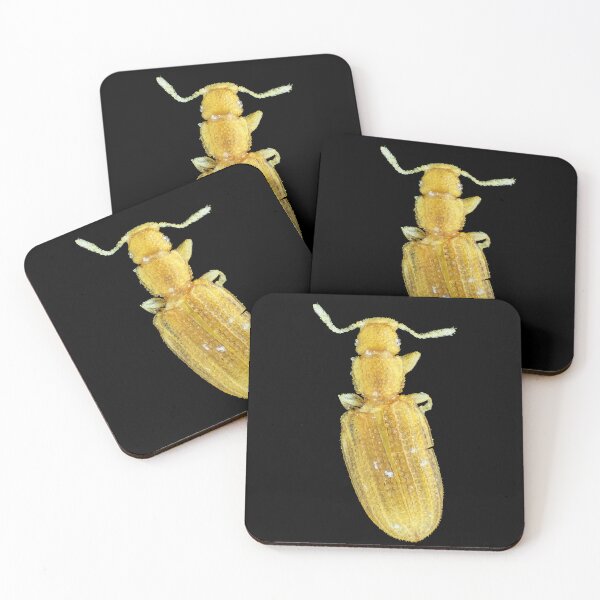 Item preview, Tiny minute brown scavenger beetle designed and sold by SDym Photography.