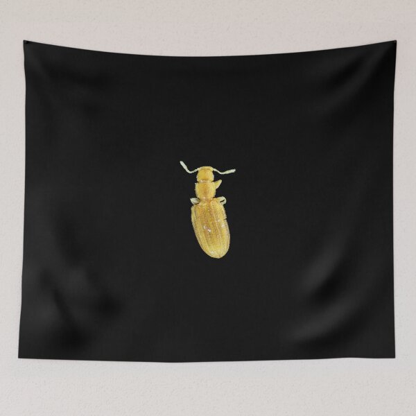 Item preview, Tiny minute brown scavenger beetle designed and sold by SDym Photography.