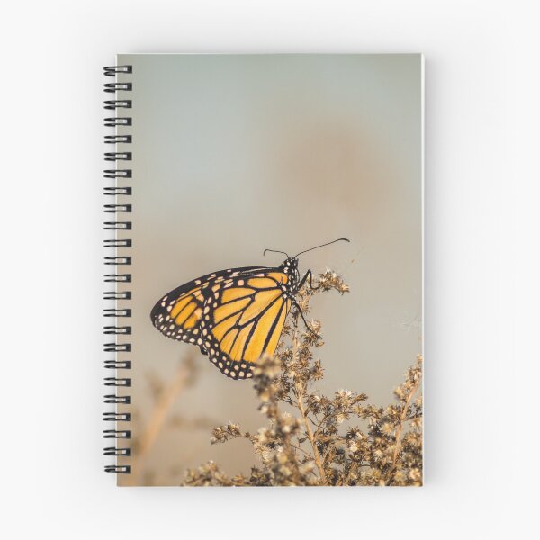 Item preview, Monarch Butterfly perched on dried flowers designed and sold by Rabbitti.