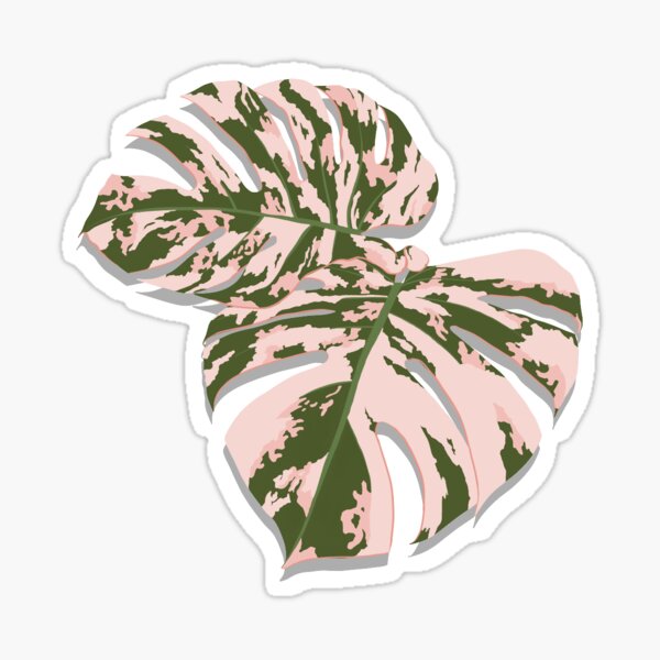 "Pink Variegated Monstera Leaves" Sticker by imissmydog Redbubble