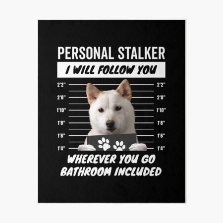 white shiba inu plush