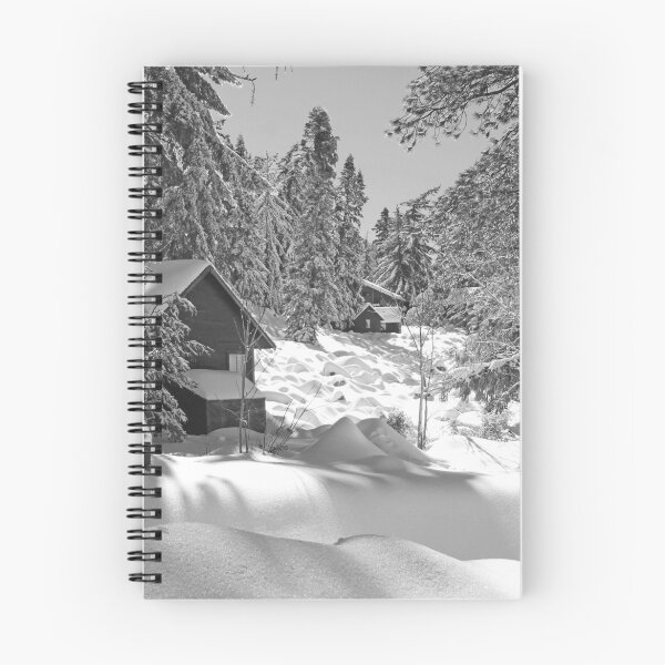 Item preview, Baldy Cabins designed and sold by Chet King.