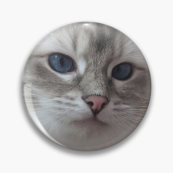 Item preview, Saoirse the beautiful ragdoll cat designed and sold by Fluffycat2020.