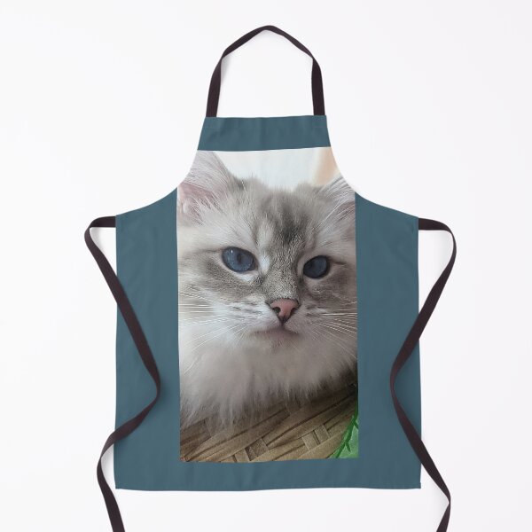 Item preview, Saoirse the beautiful ragdoll cat designed and sold by Fluffycat2020.