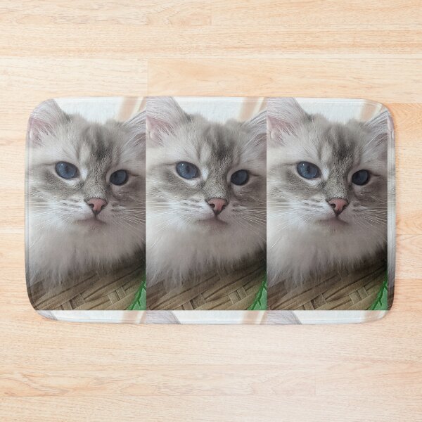 Item preview, Saoirse the beautiful ragdoll cat designed and sold by Fluffycat2020.