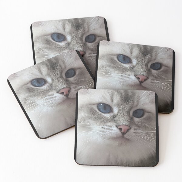 Item preview, Saoirse the beautiful ragdoll cat designed and sold by Fluffycat2020.