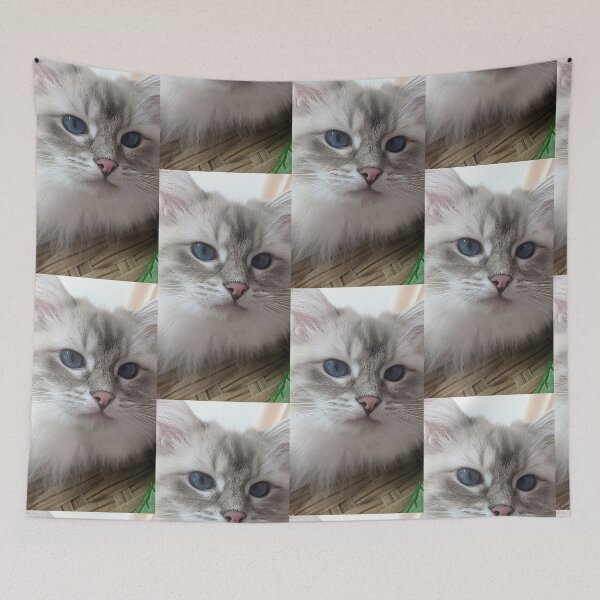 Item preview, Saoirse the beautiful ragdoll cat designed and sold by Fluffycat2020.