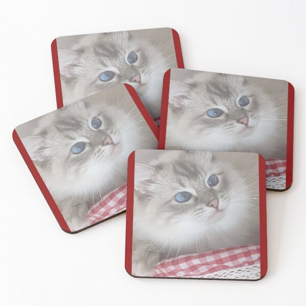 Item preview, Saoirse the beautiful ragdoll cat  designed and sold by Fluffycat2020.