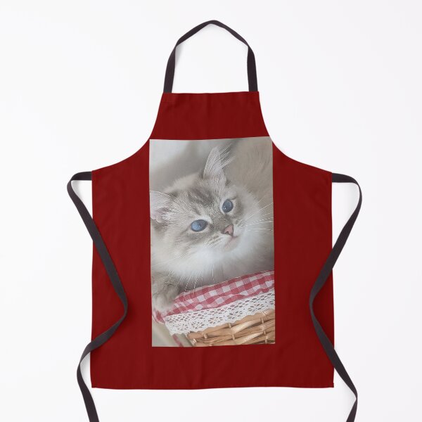 Item preview, Saoirse the beautiful ragdoll cat  designed and sold by Fluffycat2020.