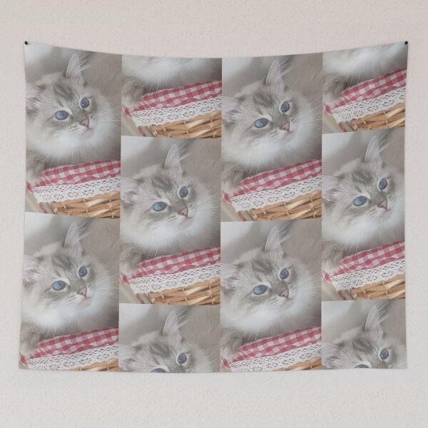 Item preview, Saoirse the beautiful ragdoll cat  designed and sold by Fluffycat2020.