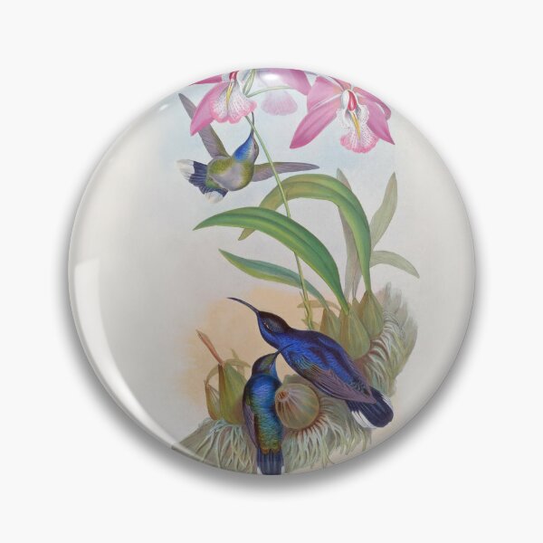 Artikelvorschau, Violet Sabrewing von John Gould entworfen und verkauft von TheCurators.