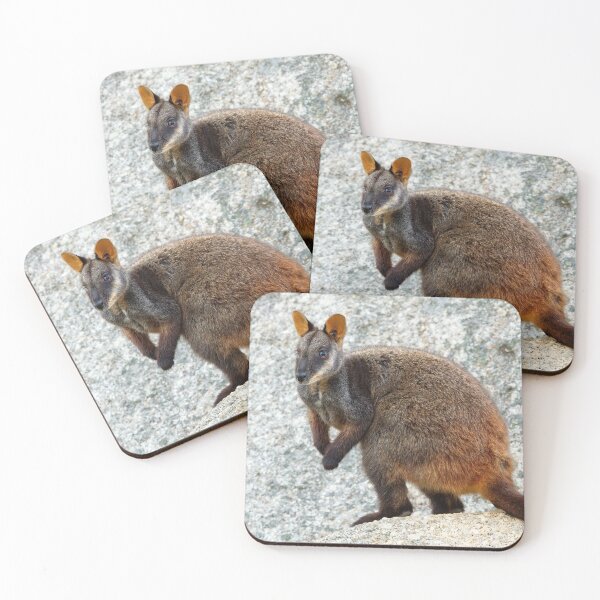 Item preview, Rocky designed and sold by Stephen Ruane.