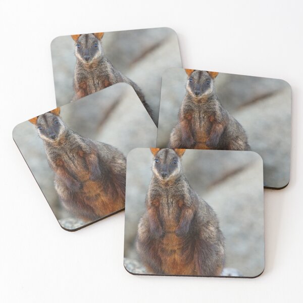 Item preview, Rock Wallaby designed and sold by Stephen Ruane.