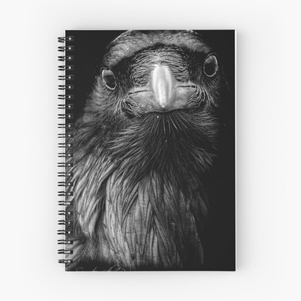 Item preview, Raven portrait  designed and sold by DancingsupWhale.