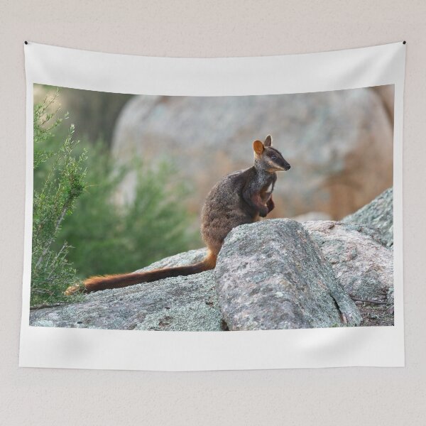 Item preview, Brush Tailed Rock Wallaby designed and sold by Stephen Ruane.