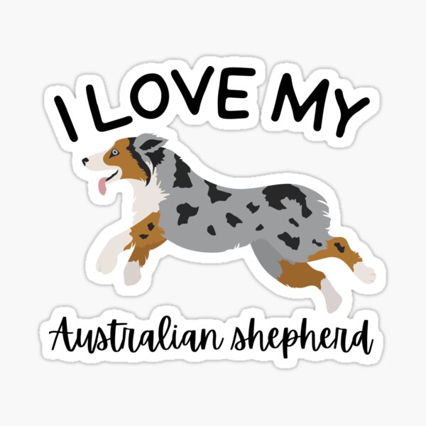 I love sale my australian shepherd