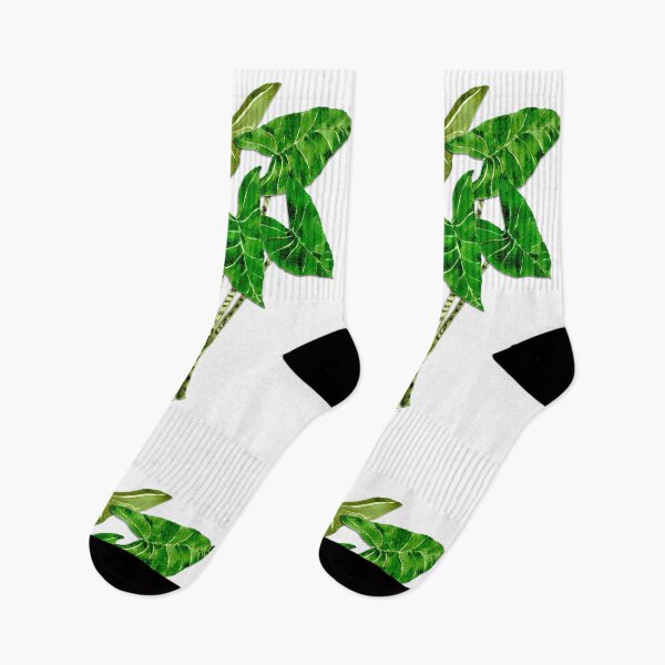 Item preview, Alocasia zebrina designed and sold by PetitMartin.