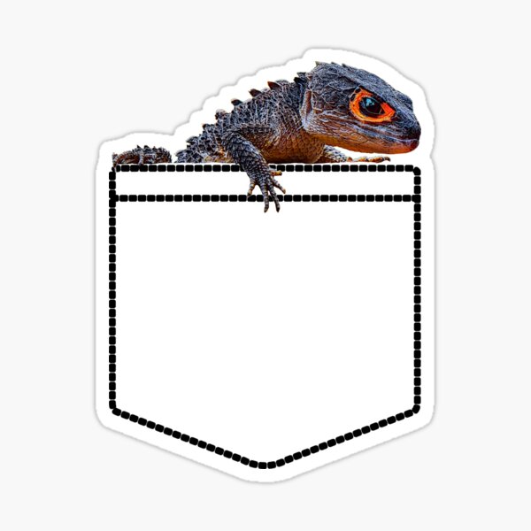 Item preview, Red Eyed Crocodile Skink Pocket designed and sold by JRRTs.