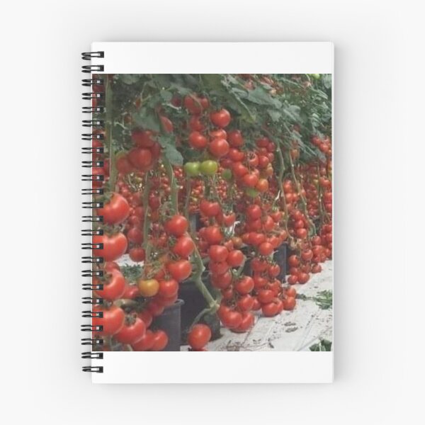 Artikelvorschau, Rote Tomate entworfen und verkauft von Saiamrita123.